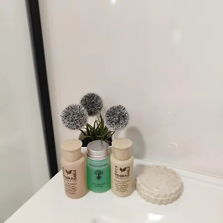 Lujo Y Confort En Ubicacion Privilegiada Centro * Oviede