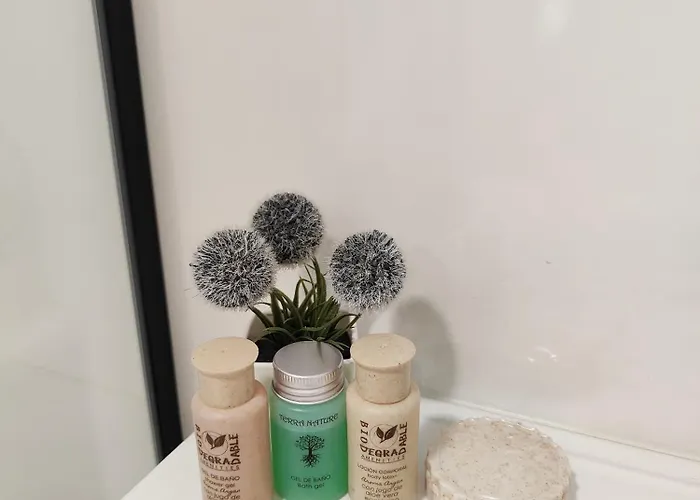 Lujo Y Confort En Ubicacion Privilegiada Centro * Oviedo